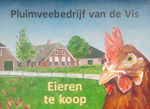 Pluimveebedrijf van de Vis